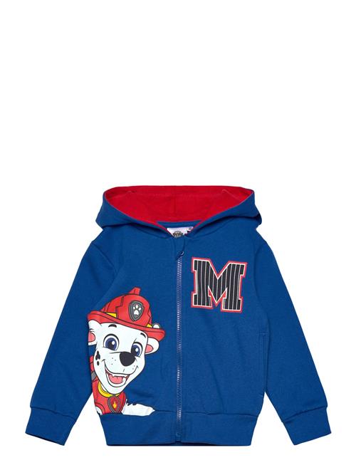 Paw Patrol | Sweats | 104