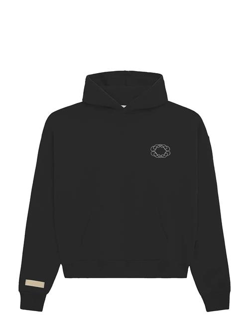 Prohibited | Legacy Hoodie | L