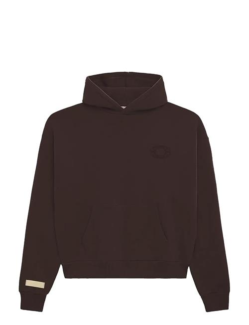 Prohibited | Legacy Hoodie | XXL