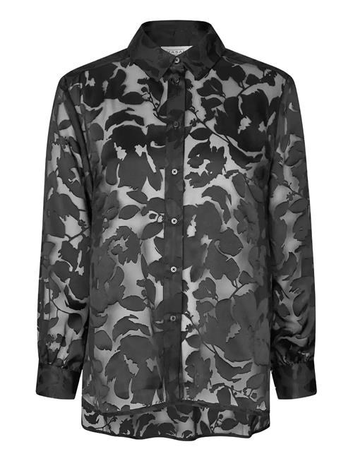 Masai | Mairastinas | M