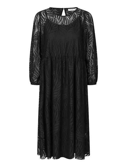 Masai | Manaylora | L