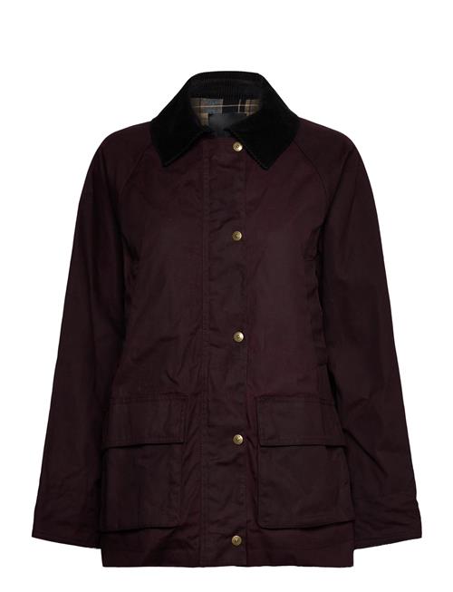 Mango | Cotton Parka With Corduroy Collar | M