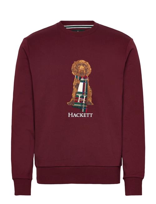 Hackett London | Heritage Harry Crew | XL