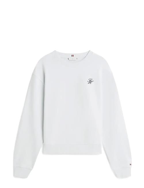 Tommy Hilfiger | Th Script Reg Terry Swtshrt | M