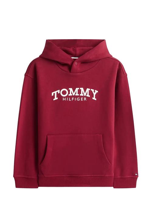 Tommy Hilfiger | Monotype Print Hoodie | 152