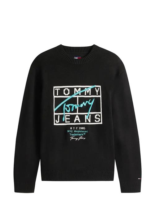 Tommy Jeans | Tjm Reg Signature Sweater Ext | M