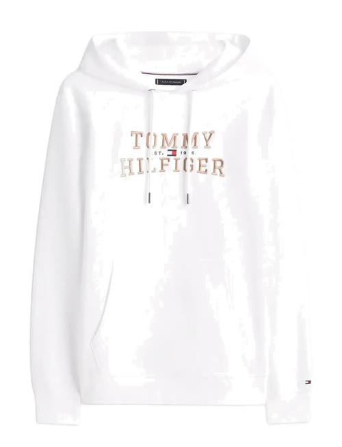 Tommy Hilfiger | Icon Intechno Hoody | S