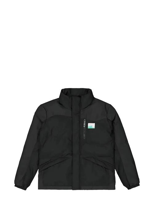 PICTURE ORGANIC CLOTHING | Zonk Jkt | S