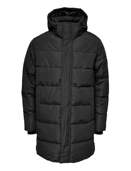 ONLY & SONS | Osjcarl Life Long Quilted Coat Otw | 152