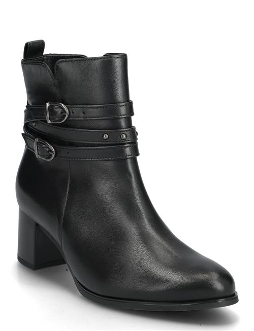 Gabor | Ankle Boot | 35.5
