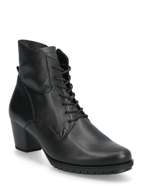 Gabor | Laced Ankle Boot | 40