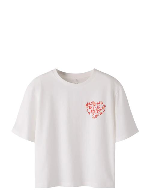 name it | Nkfbeatrice Ss Nreg Sh Top Box Ps Noos | 122-128