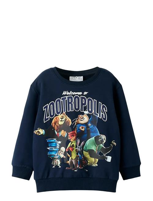 name it | Nmmnoel Zootropolis Nreg Sweat Bru Wdi | 116