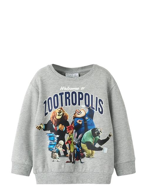 name it | Nmmnoel Zootropolis Nreg Sweat Bru Wdi | 104
