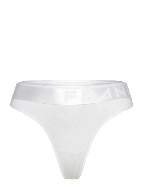 Frank Dandy | Women's Legend Mesh Thong | XS