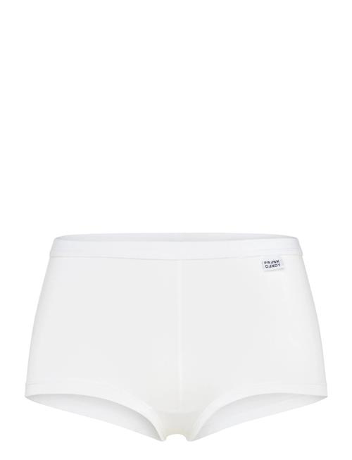 Frank Dandy | Women's Bamboo Legend Boxer | S