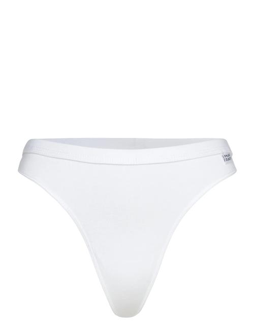 Frank Dandy | Women's Bamboo Legend Thong | M