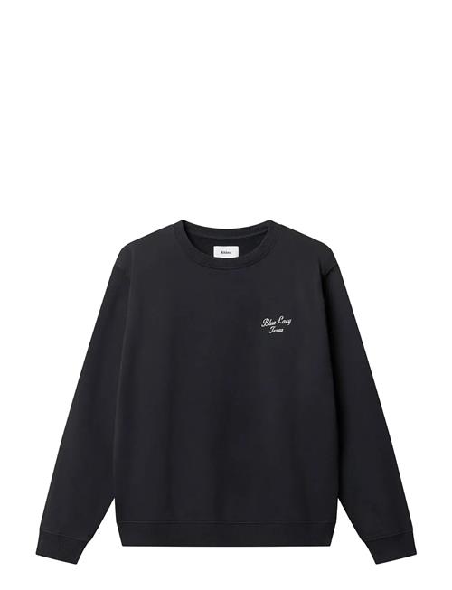 Nikben | Blue Lacy Crew | M