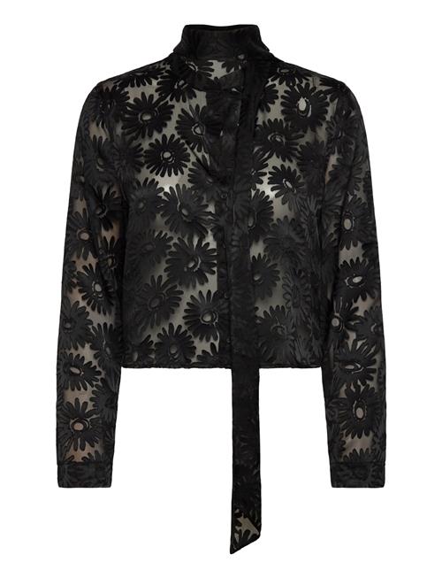 HUGO | Eurydyke | 34