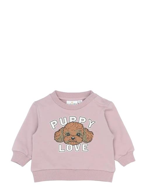 The New | Tnsbselena Sweatshirt | 68