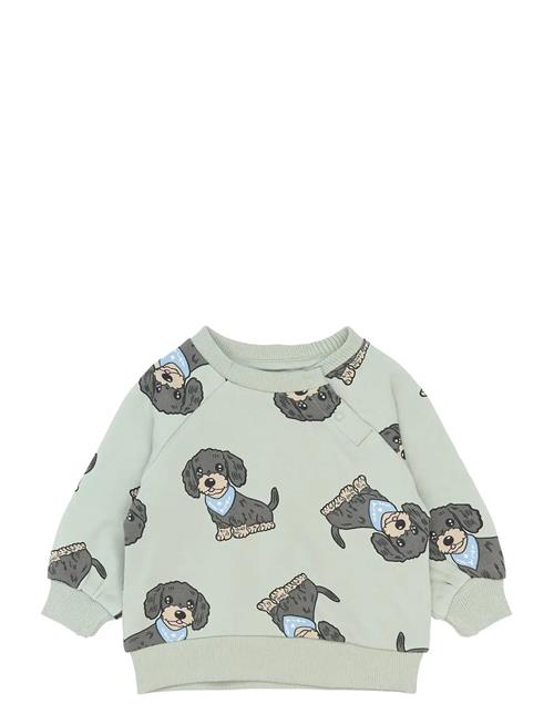 The New | Tnsbsofus Sweatshirt | 74