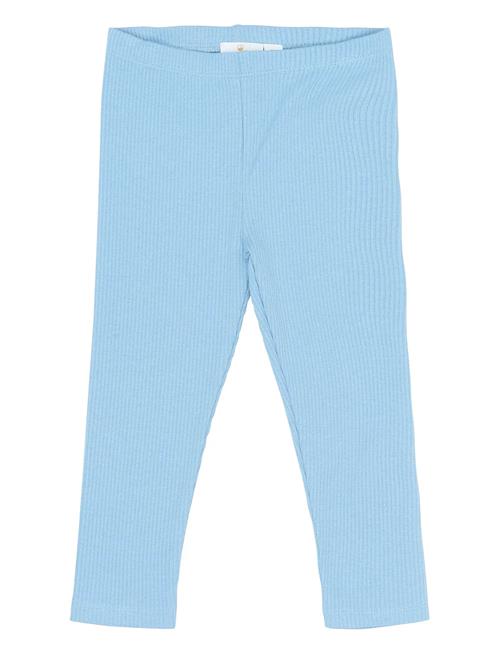 The New | Tnstrianna Rib Leggings | 110