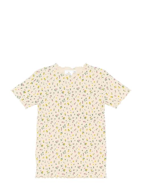 The New | Tnsummer S_S Rib Tee | 146/152