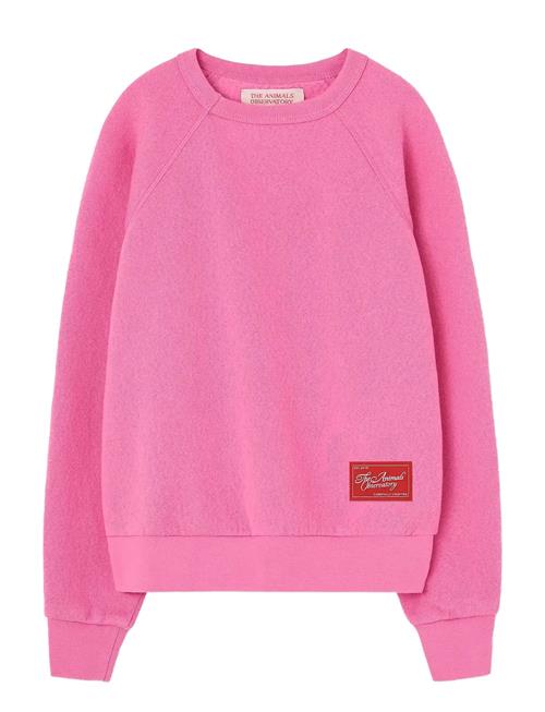 THE ANIMALS OBSERVATORY | Brifht Pink Shark Sweatshirt | 10 Y