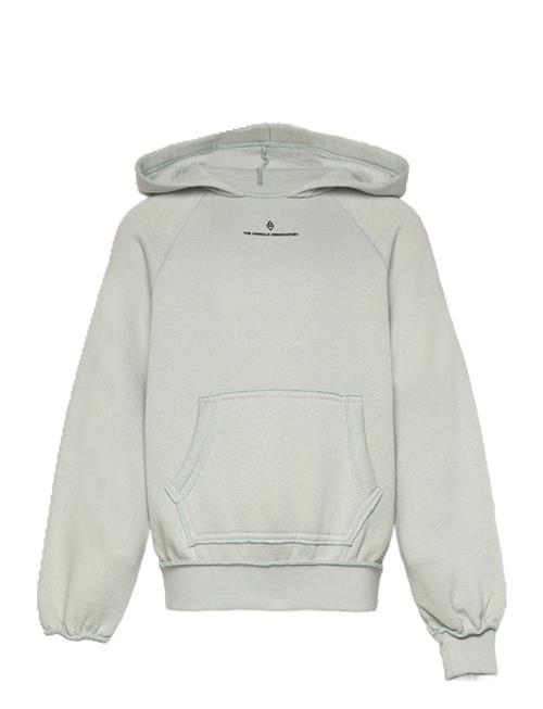 THE ANIMALS OBSERVATORY | Flowers Blue Beaver Hoodie | 8 Y