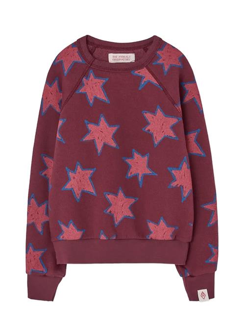 THE ANIMALS OBSERVATORY | Stars Shark Sweatshirt | 6 Y