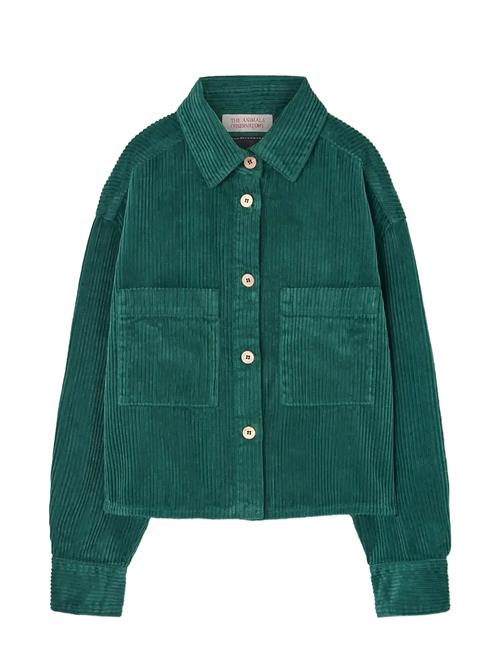 THE ANIMALS OBSERVATORY | Freen Beabull Shirt | 4 Y