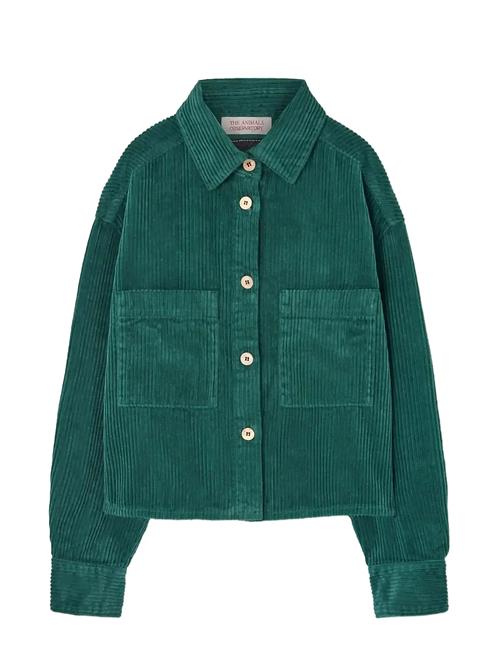 THE ANIMALS OBSERVATORY | Freen Beabull Shirt | 10 Y