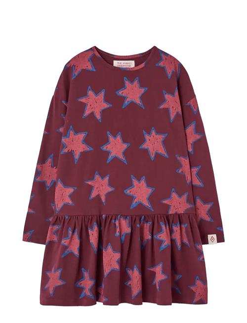 THE ANIMALS OBSERVATORY | Stars Macaw Dress | 6 Y