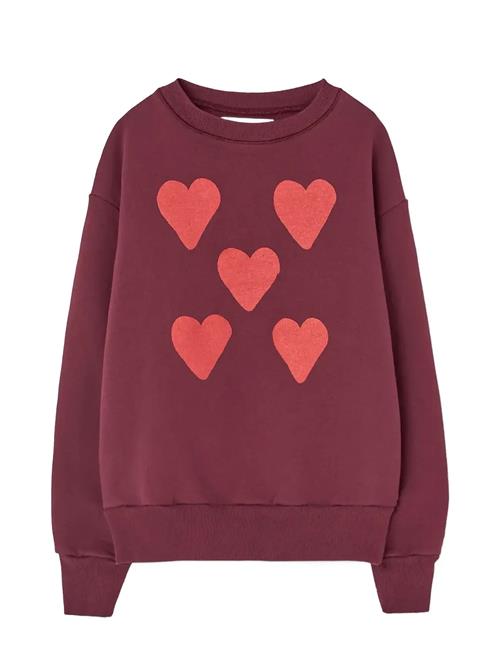 THE ANIMALS OBSERVATORY | Hearts Browned Farnet Bear Sweatshirt | 4 Y