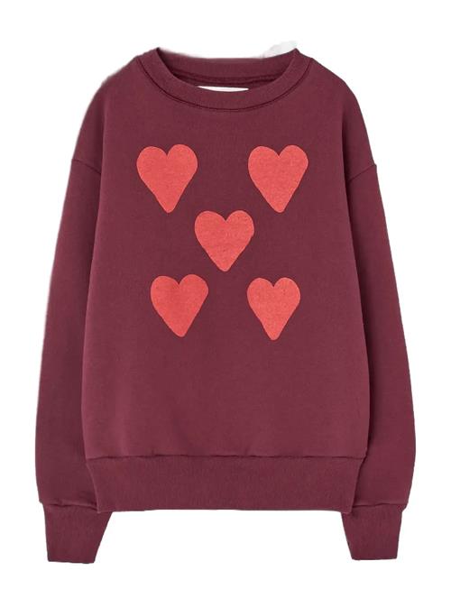 THE ANIMALS OBSERVATORY | Hearts Browned Farnet Bear Sweatshirt | 10 Y