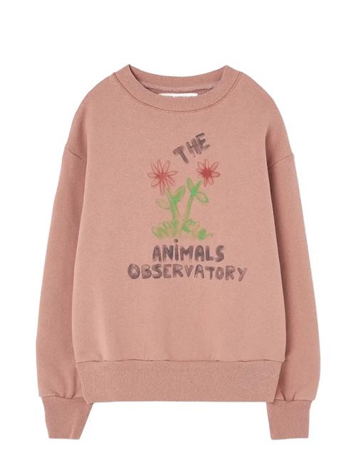 THE ANIMALS OBSERVATORY | Flowers Dusty Coral Bear Sweatshirt | 4 Y