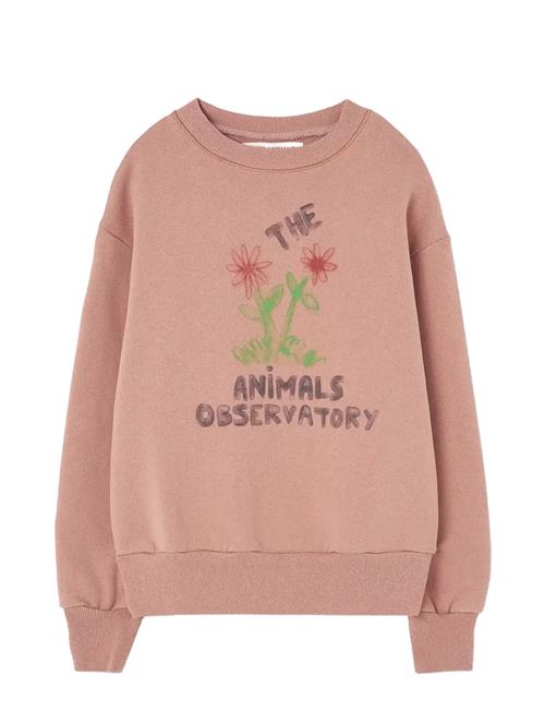 THE ANIMALS OBSERVATORY | Flowers Dusty Coral Bear Sweatshirt | 10 Y