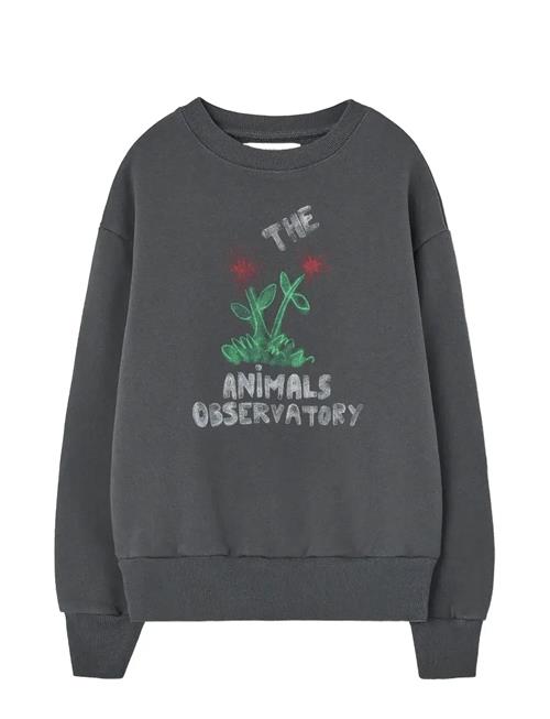 THE ANIMALS OBSERVATORY | Flowers Dark Frey Bear Sweatshirt | 4 Y