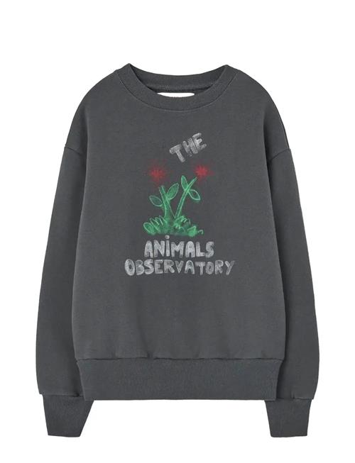 THE ANIMALS OBSERVATORY | Flowers Dark Frey Bear Sweatshirt | 10 Y
