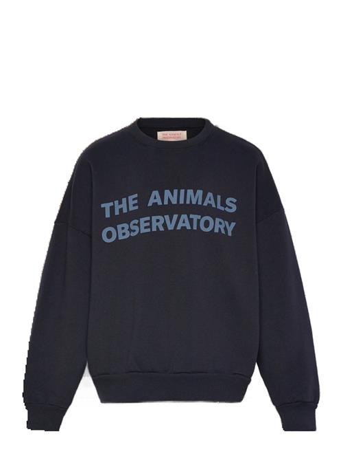 THE ANIMALS OBSERVATORY | Navy Leo Sweatshirt | 8 Y