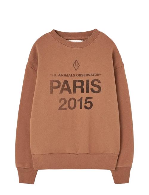 THE ANIMALS OBSERVATORY | Sun Almond Brown Bear Sweatshirt | 6 Y