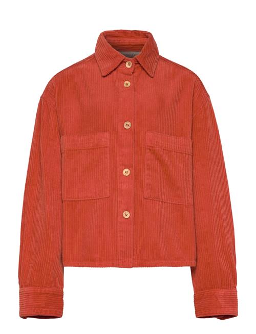 THE ANIMALS OBSERVATORY | Fif Red Beabull Shirt | 8 Y
