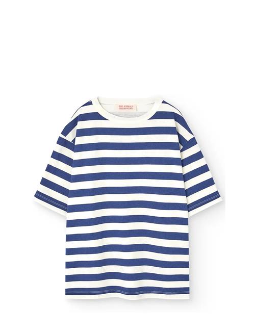 THE ANIMALS OBSERVATORY | Stripes Navy Collie T-Shirt | 4 Y