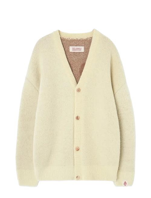 THE ANIMALS OBSERVATORY | Yellow Racoon Cardifan | 4 Y