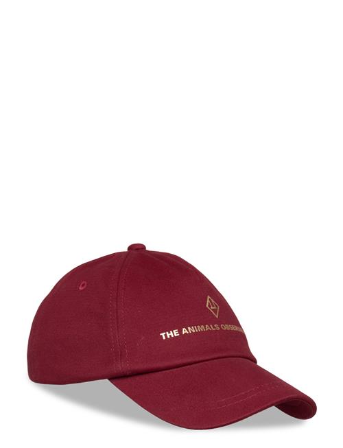 THE ANIMALS OBSERVATORY | Maroon Hamster Cap | M