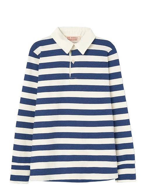 THE ANIMALS OBSERVATORY | Stripes Navy Eel Polo Shirt | 6 Y
