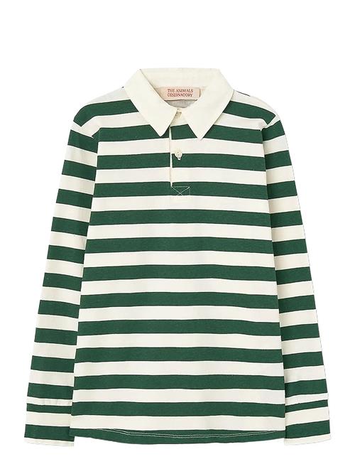 THE ANIMALS OBSERVATORY | Stripes Freen Eel Polo Shirt | 12 Y