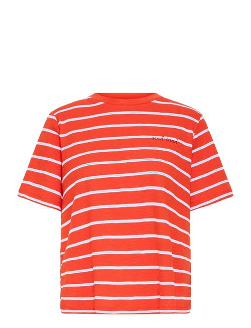 ICHI | Ihnova Ss3 | XL