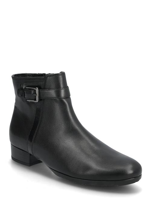 Gabor | Ankle Boot | 36