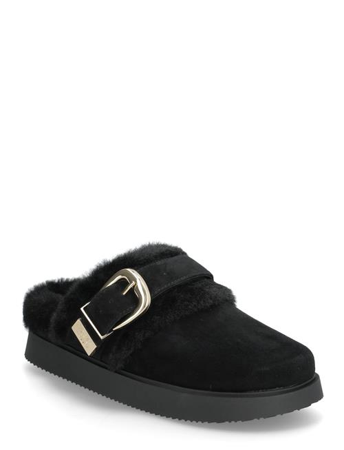 Steve Madden | Cozy Up | 40